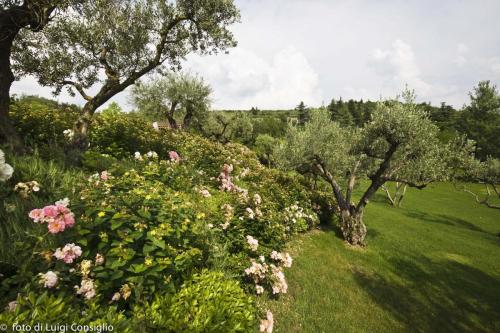 LUIGICONSIGLIO-FOTOGRAFO-giardini-Verona-006