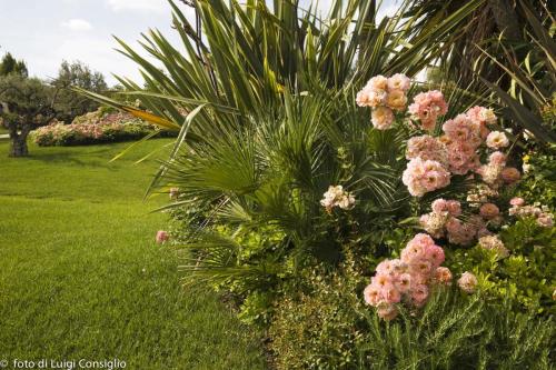 LUIGICONSIGLIO-FOTOGRAFO-giardini-Verona-008