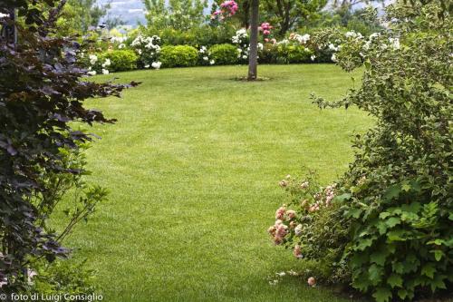 LUIGICONSIGLIO-FOTOGRAFO-giardini-Verona-025