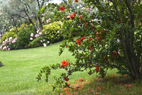 LUIGICONSIGLIO-FOTOGRAFO-giardini-Verona-027