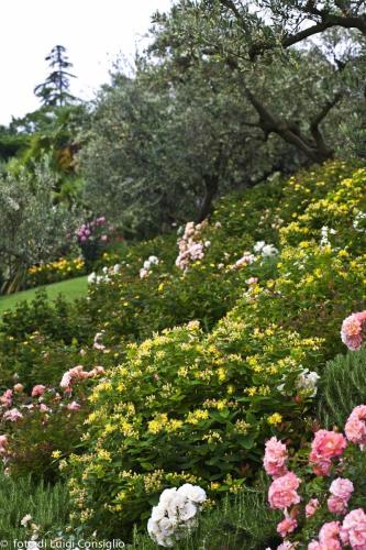 LUIGICONSIGLIO-FOTOGRAFO-giardini-Verona-030