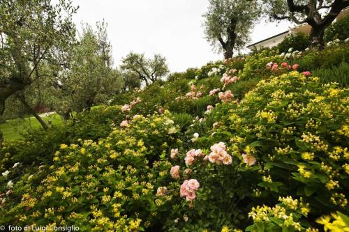 LUIGICONSIGLIO-FOTOGRAFO-giardini-Verona-031