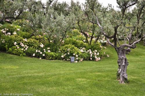 LUIGICONSIGLIO-FOTOGRAFO-giardini-Verona-032