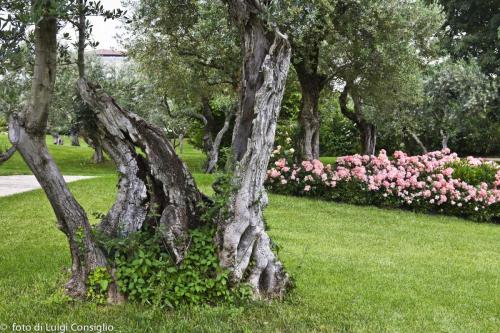 LUIGICONSIGLIO-FOTOGRAFO-giardini-Verona-033