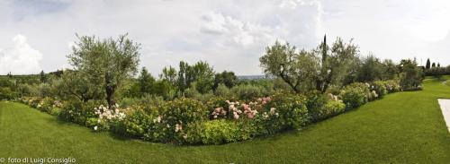 LUIGICONSIGLIO-FOTOGRAFO-giardini-Verona-038