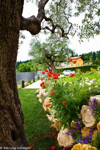 LUIGICONSIGLIO-FOTOGRAFO-giardini-Bardolino-BarBB20170518 5469