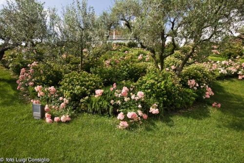 LUIGICONSIGLIO-FOTOGRAFO-giardini-Verona-20180607 0065