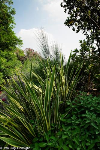 LUIGICONSIGLIO-FOTOGRAFO-giardini-Verona-289X1388