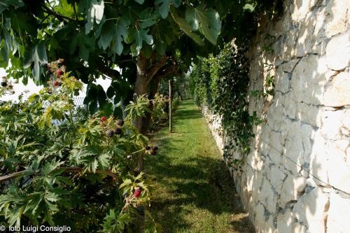 LUIGICONSIGLIO-FOTOGRAFO-giardini-Verona-289X2753 RT16