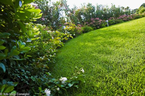 LUIGICONSIGLIO-FOTOGRAFO-giardini-Verona-Fontana albare20160622 3281