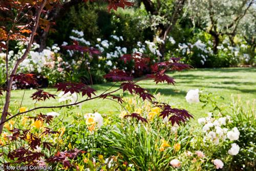 LUIGICONSIGLIO-FOTOGRAFO-giardini-Verona-cisano mg 0971