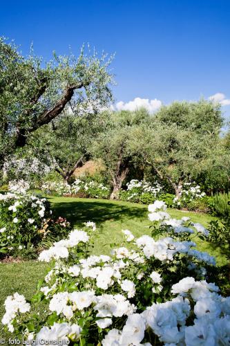 LUIGICONSIGLIO-FOTOGRAFO-giardini-Verona-cisano mg 1006