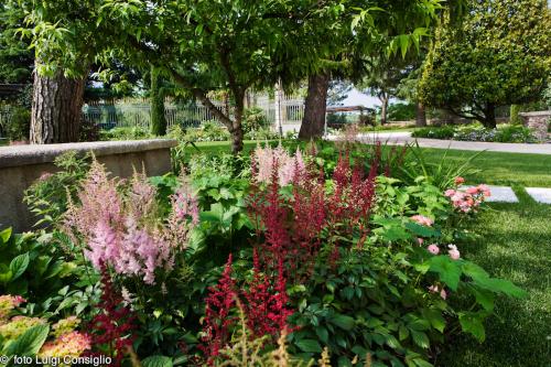 LUIGICONSIGLIO-FOTOGRAFO-giardini-Verona-palazzolo20150530 8811