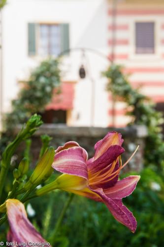 LUIGICONSIGLIO-FOTOGRAFO-giardini-Verona-palazzolo20150530 8846