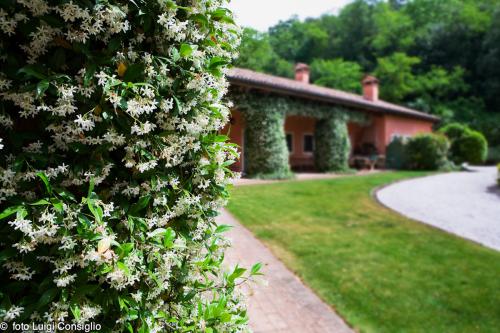 LUIGICONSIGLIO-FOTOGRAFO-giardini-Vicenza-cre matt MG 4925